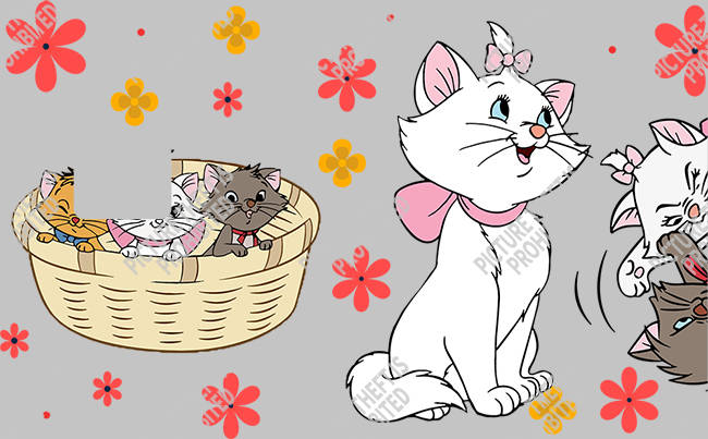 Bank  Card Sticker-BC-1359